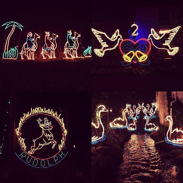 Such a magical time of year! Keeping up the tradition of trying to find all the reindeers and twelve days of Christmas lights around Angarrack Such a magical time of year! Keeping up the tradition of trying to find all the reindeers and twelve days of Christmas lights around Angarrack